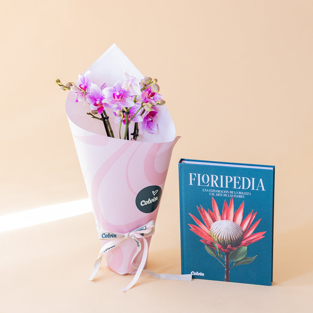 Orquídea Bicolor con Envoltorio y Libro Floripedia