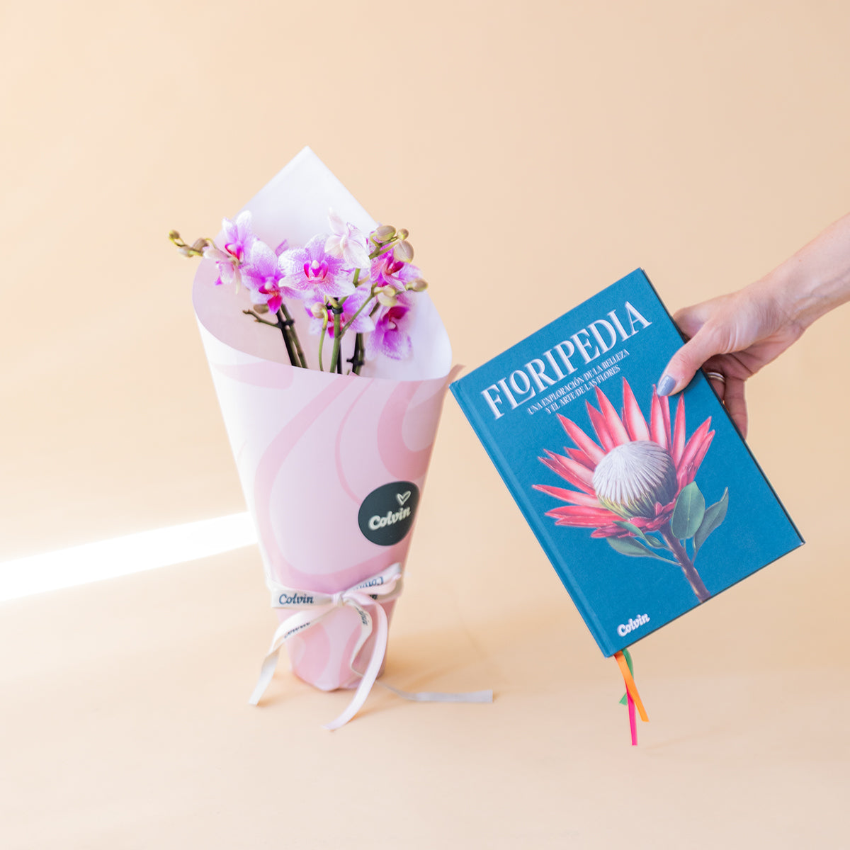 Orquídea Bicolor con Envoltorio y Libro Floripedia