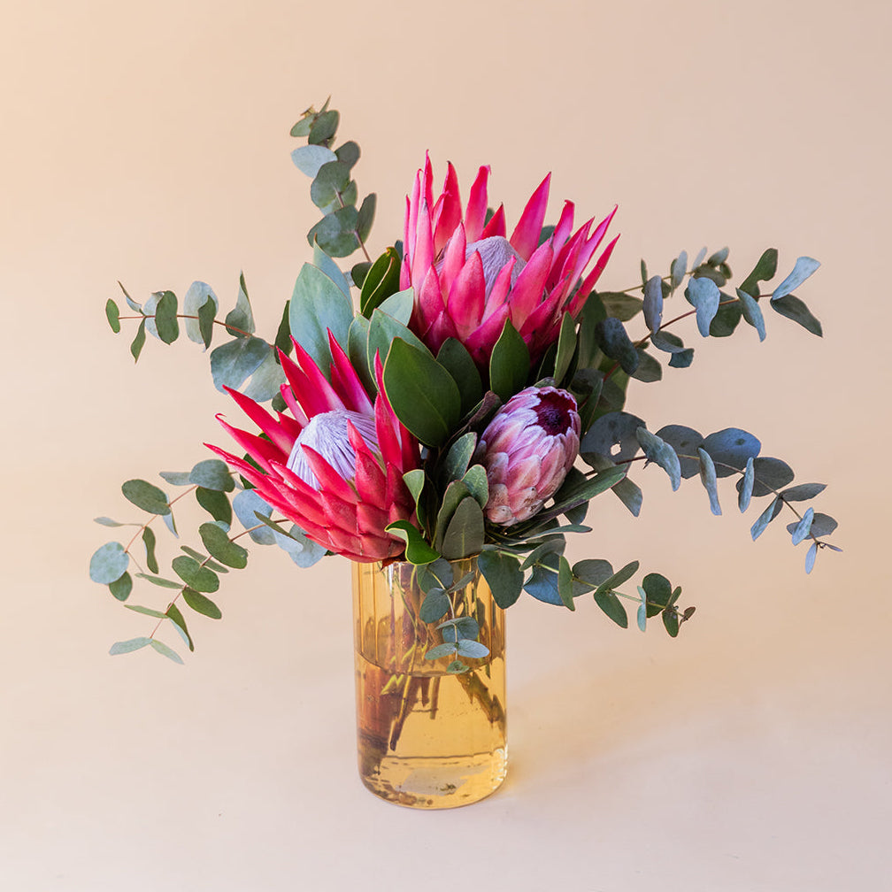 Las Proteas - Selección de proteas