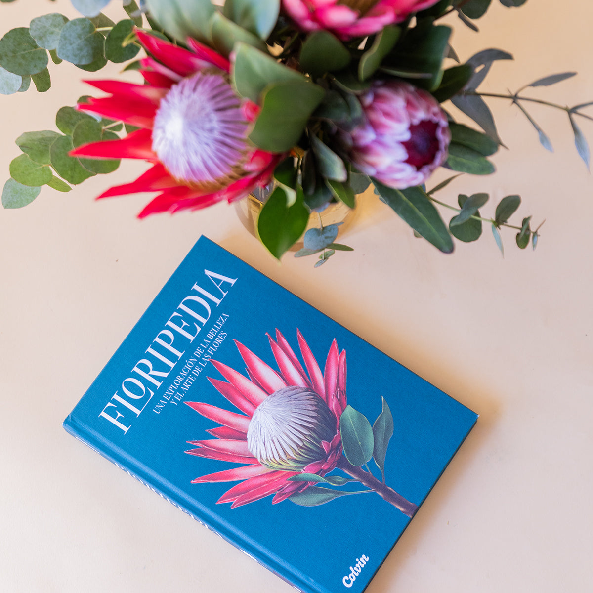 Seleção de Proteas com Floripedia