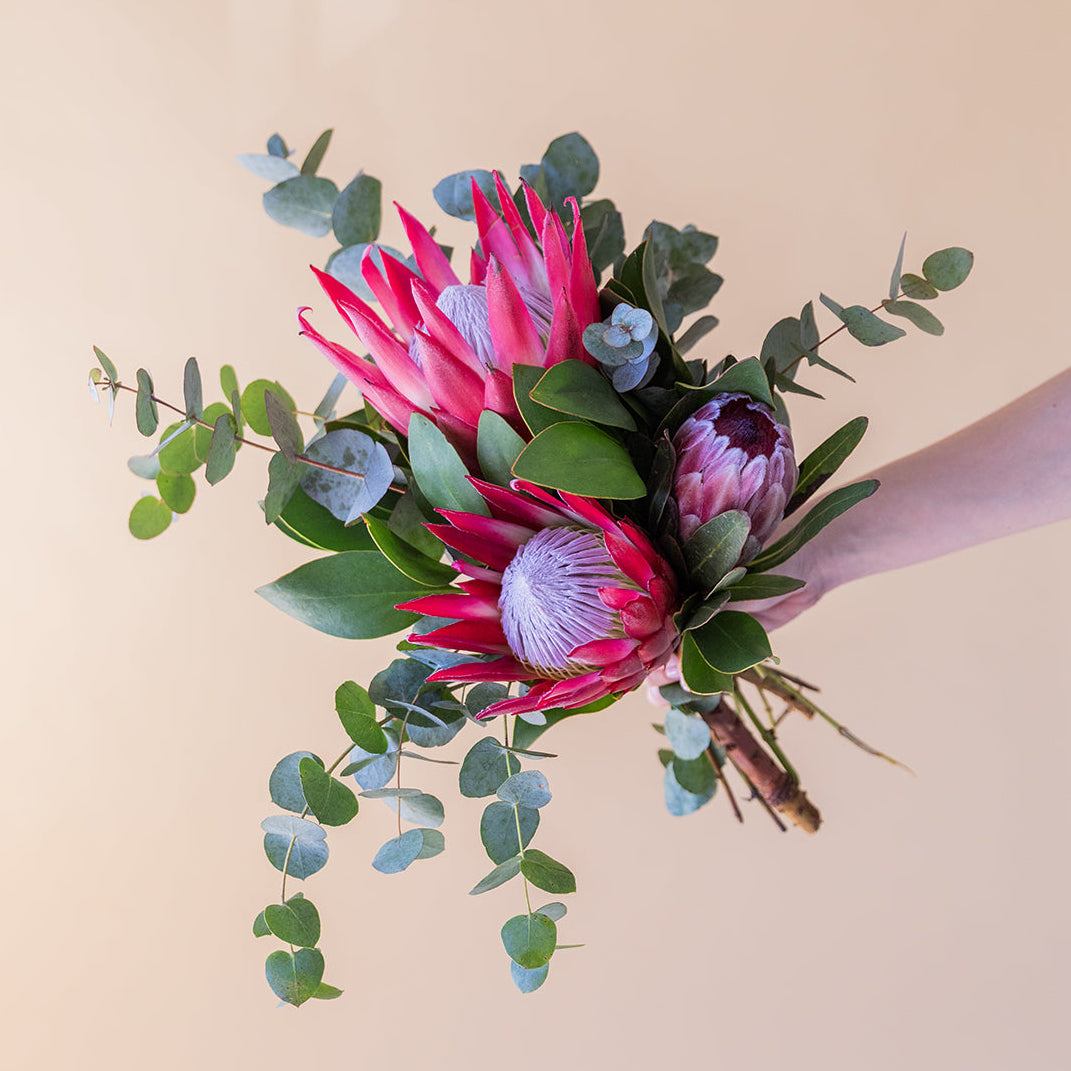 Rosas - Seleção de rosas coloridas