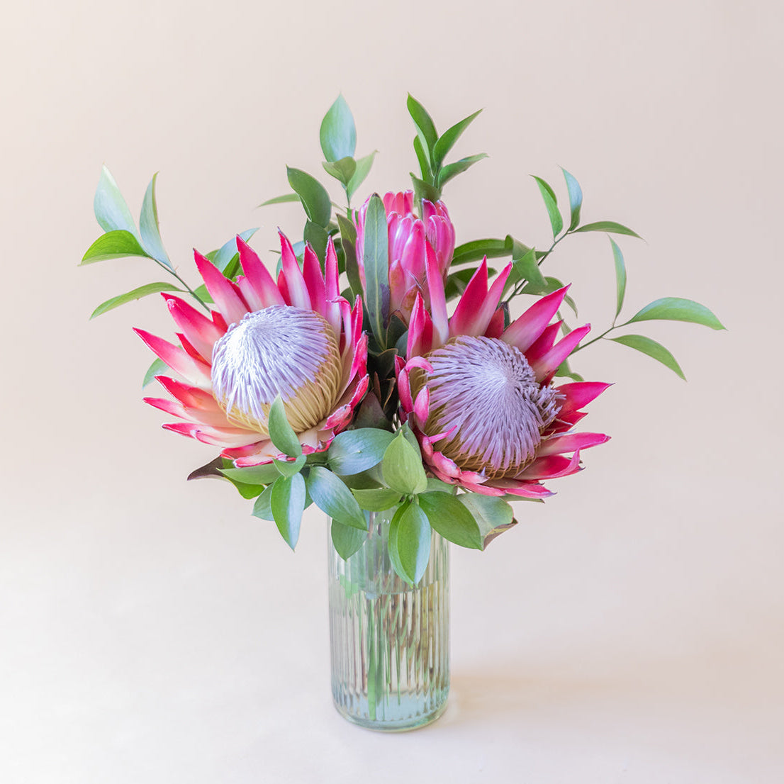 Las Proteas - Selección de proteas