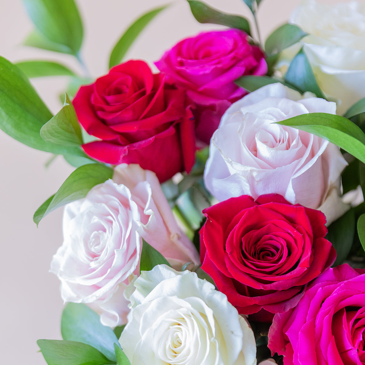 Las Rosas - Selección de rosas de colores
