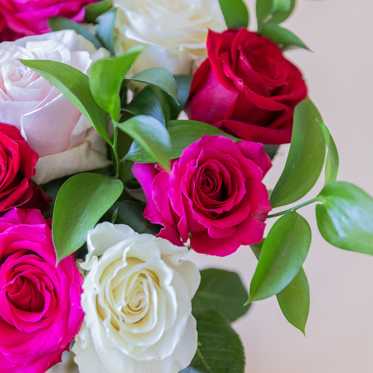 Las Rosas - Selección de rosas de colores