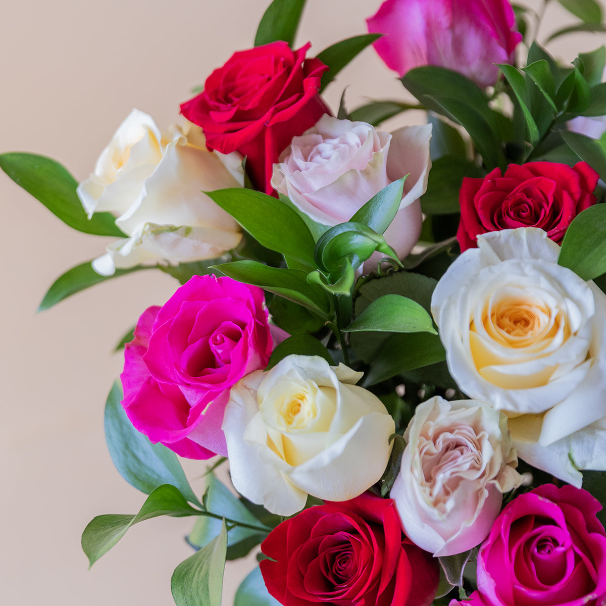 Rosas - Seleção de rosas coloridas