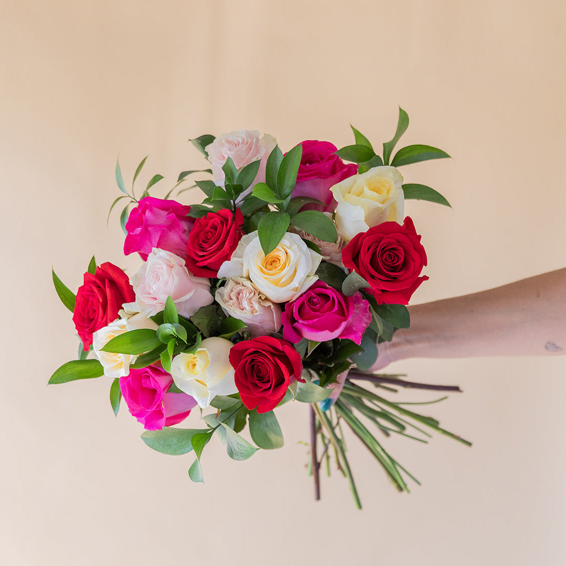Rosas - Seleção de rosas coloridas