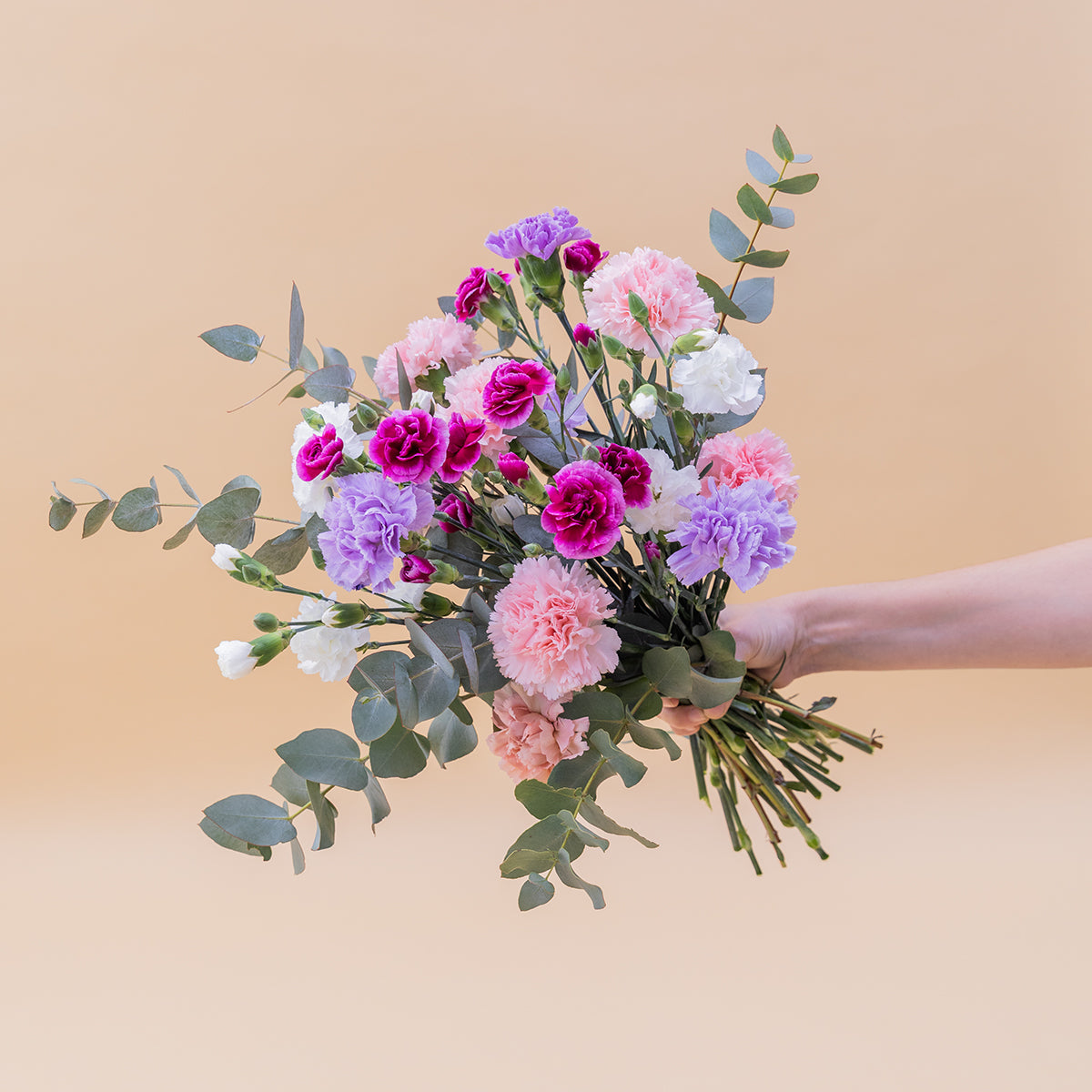 Crea tu suscripción a medida