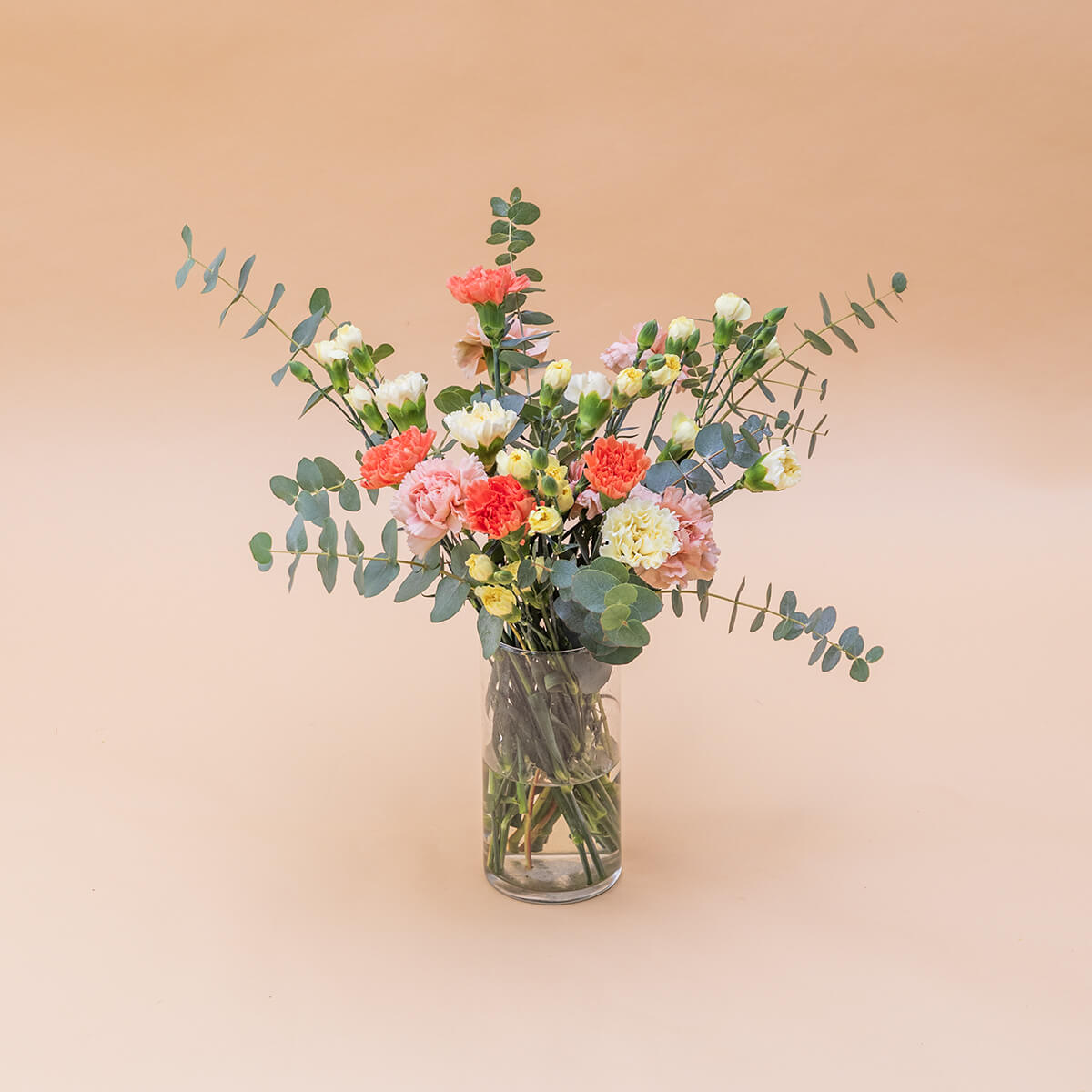 Los Claveles Amarillos - Selección de claveles