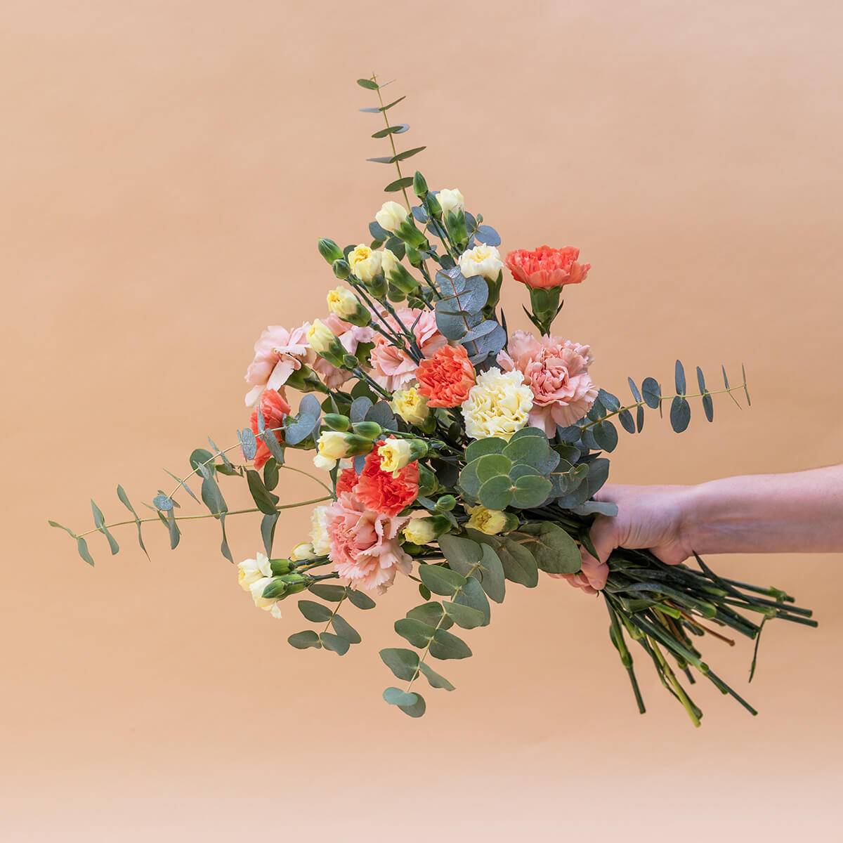 Crea tu suscripción a medida