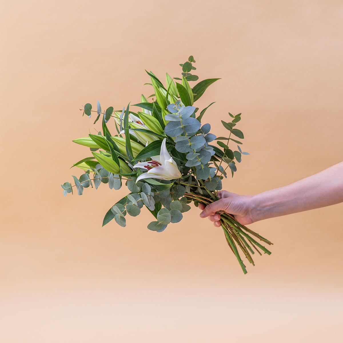 Lírios brancos - Uma seleção de lírios orientais