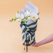 La Orquídea - Orquídea Blanca