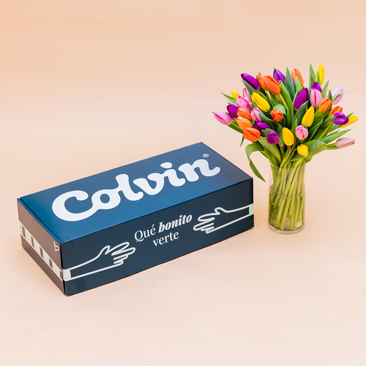 Los 40 Tulipanes - Selección de tulipanes de colores