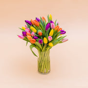 Los 40 Tulipanes - Selección de tulipanes de colores