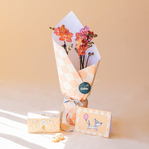 Orquídea Naranja Cumple con Envoltorio, Galletas y Tarjeta