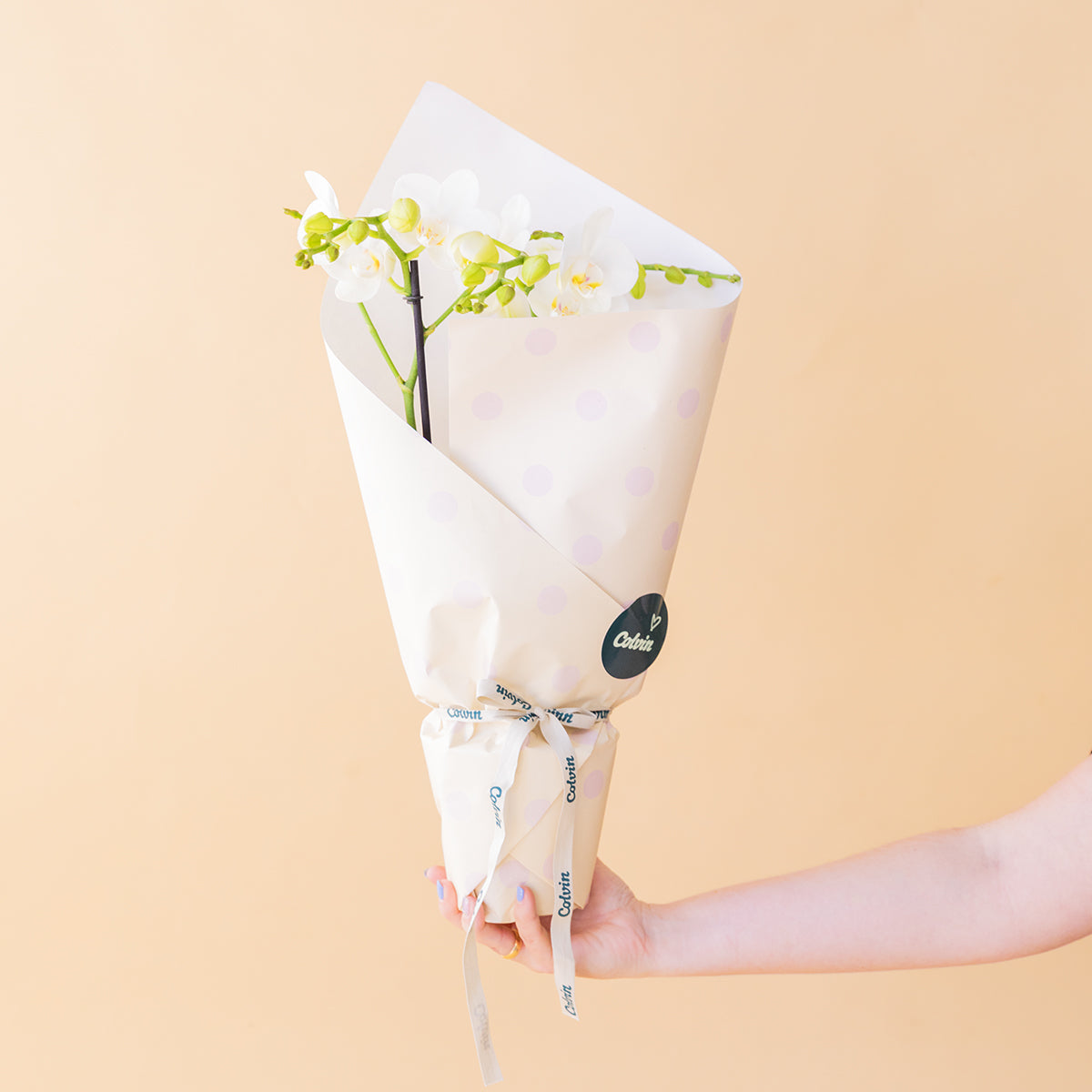 Orquídea Blanca con Envoltorio, Charm y Tarjeta