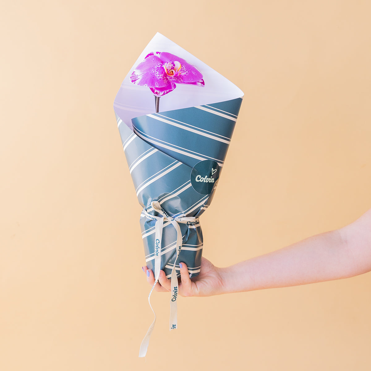 Orquídea Individual Surpresa com Embalagem, Chocolate e Cartão