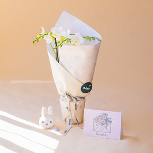 Orquídea Blanca con Envoltorio, Charm y Tarjeta