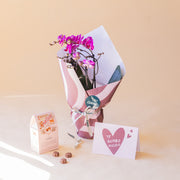 Orquídea rosa con Envoltorio, Bombones y Tarjeta