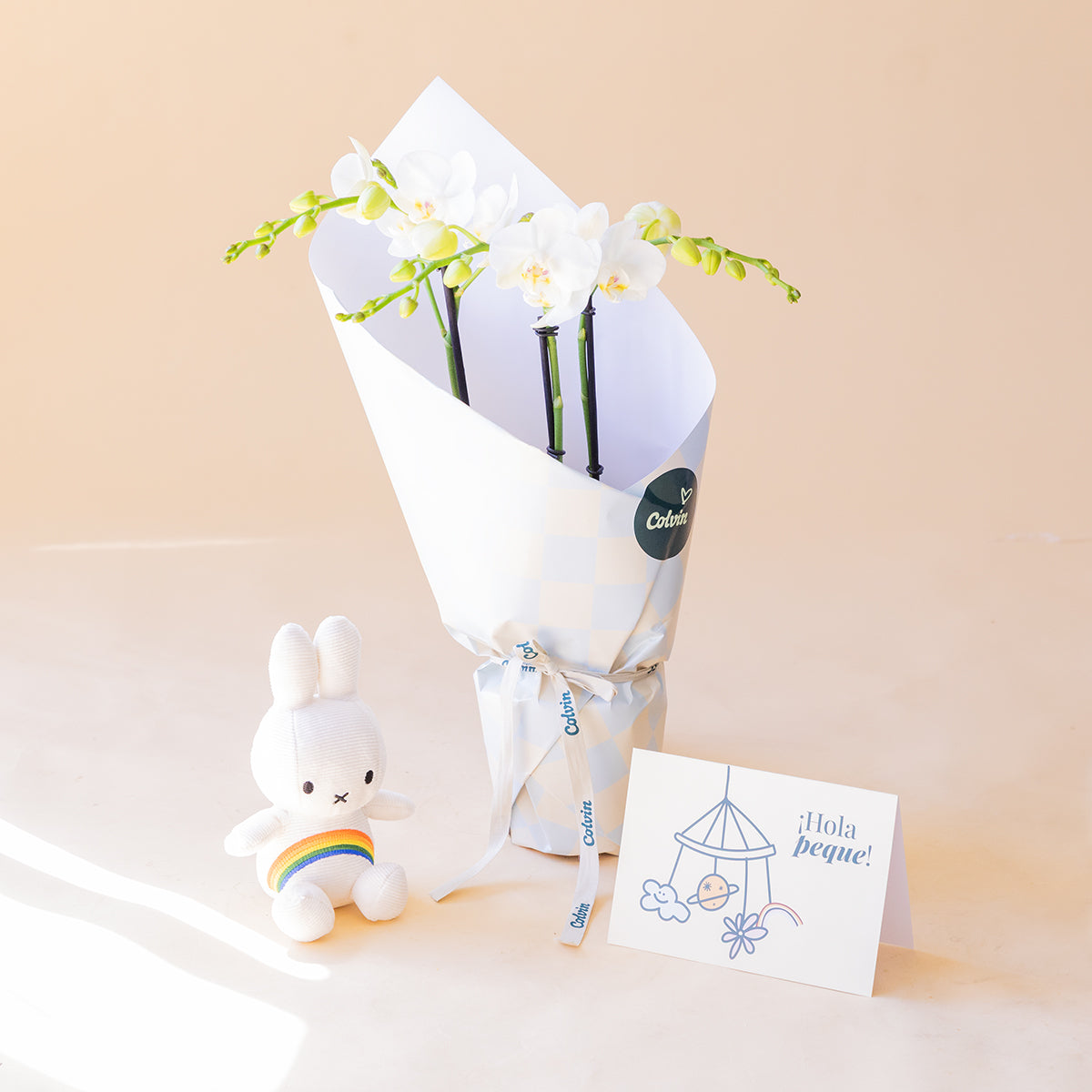 Orquídea Blanca con Envoltorio, Peluche y Tarjeta