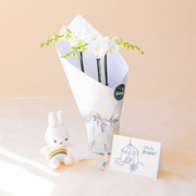 Orquídea Branca com Embrulho, Peluche e Cartão