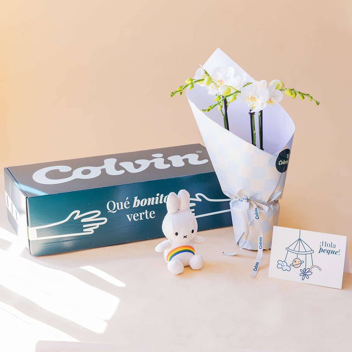 Orquídea Branca com Embrulho, Peluche e Cartão