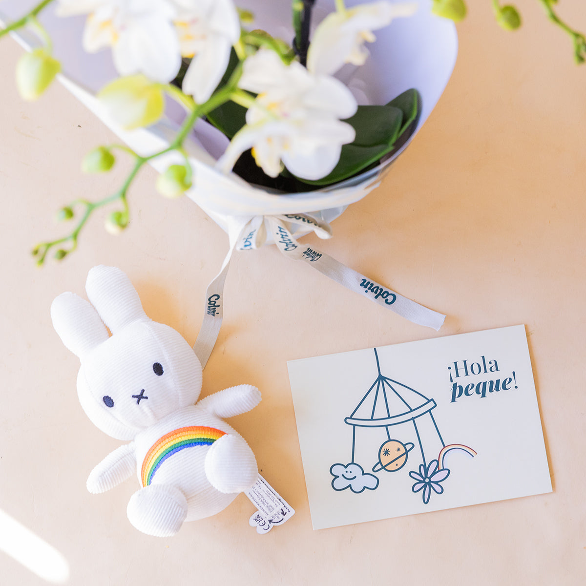 Orquídea Blanca con Envoltorio, Peluche y Tarjeta