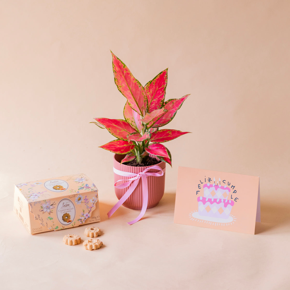 Pack: Aglaonema con maceta elho , galletas caramelo loison, tarjeta dedicatoria feliz cumple, todo ello sobre fondo crema.