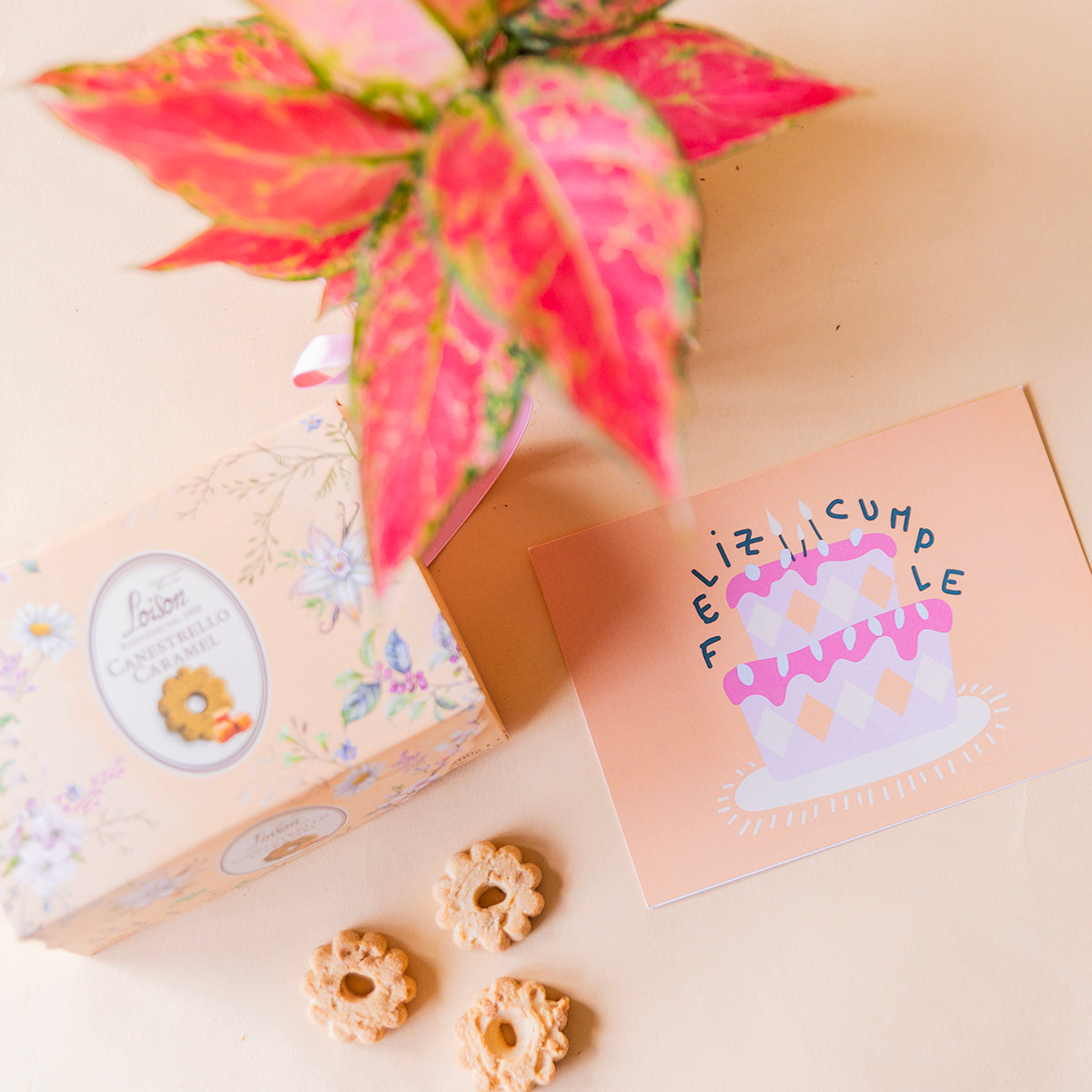 Pack: Aglaonema con maceta elho , galletas caramelo loison, tarjeta dedicatoria feliz cumple, todo ello sobre fondo crema.