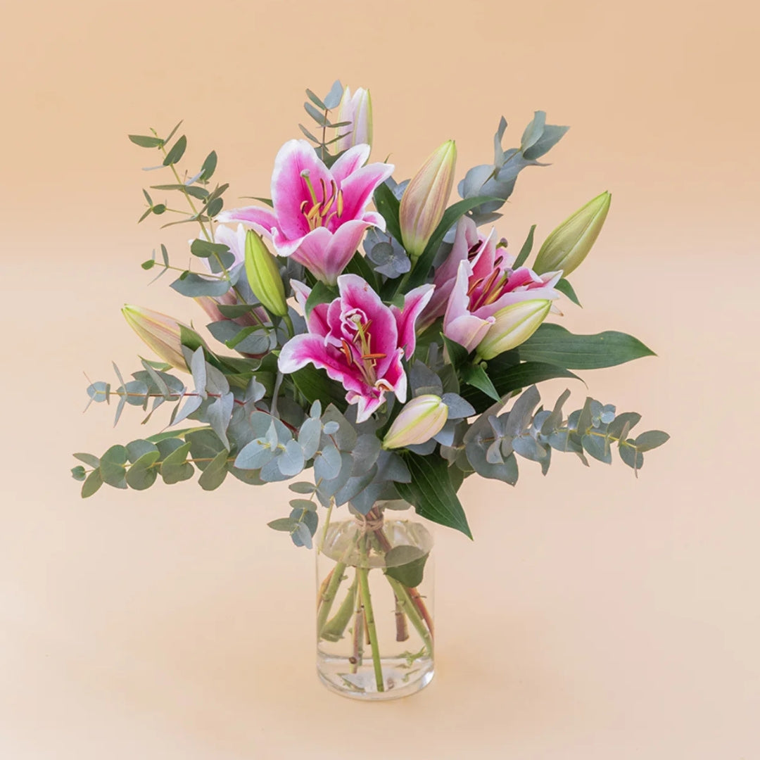 Los Lirios Rosas - Selección de lirios orientales