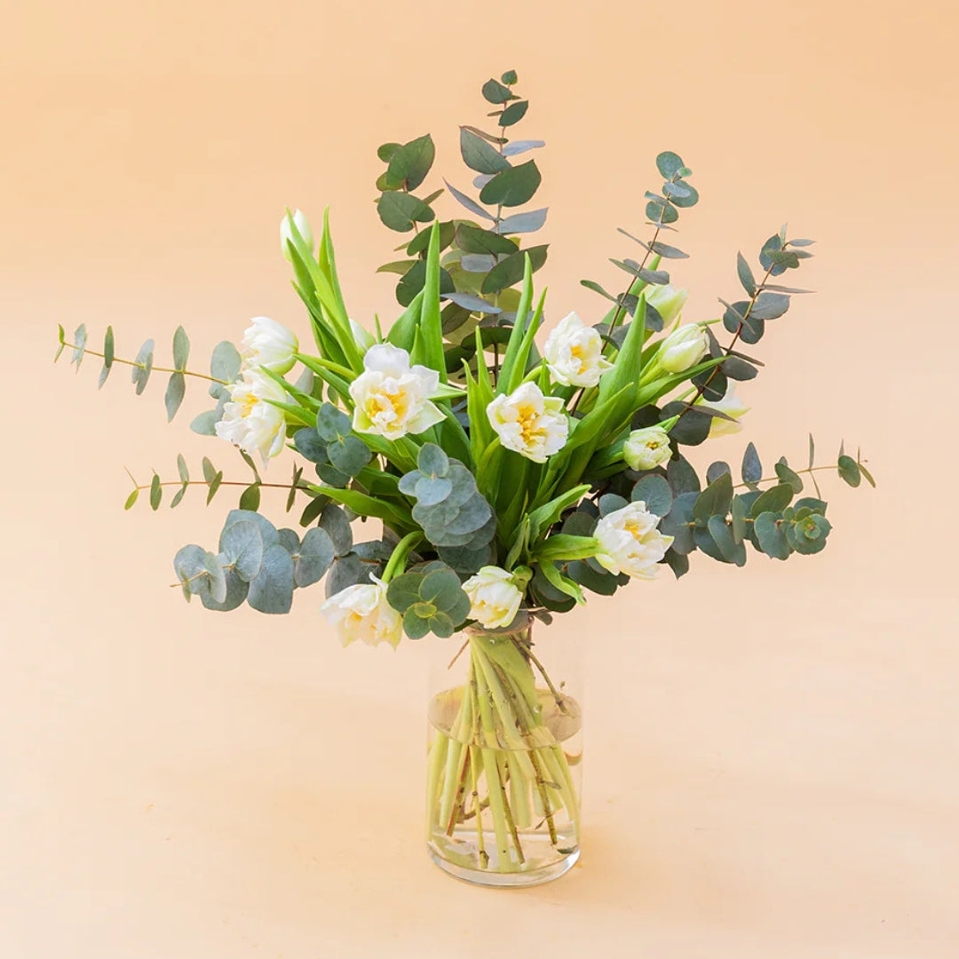 Los Tulipanes Blancos - Selección de tulipanes