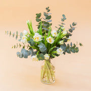 Los Tulipanes Blancos - Selección de tulipanes