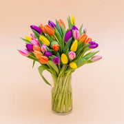 Los 40 Tulipanes - Selección de tulipanes de colores