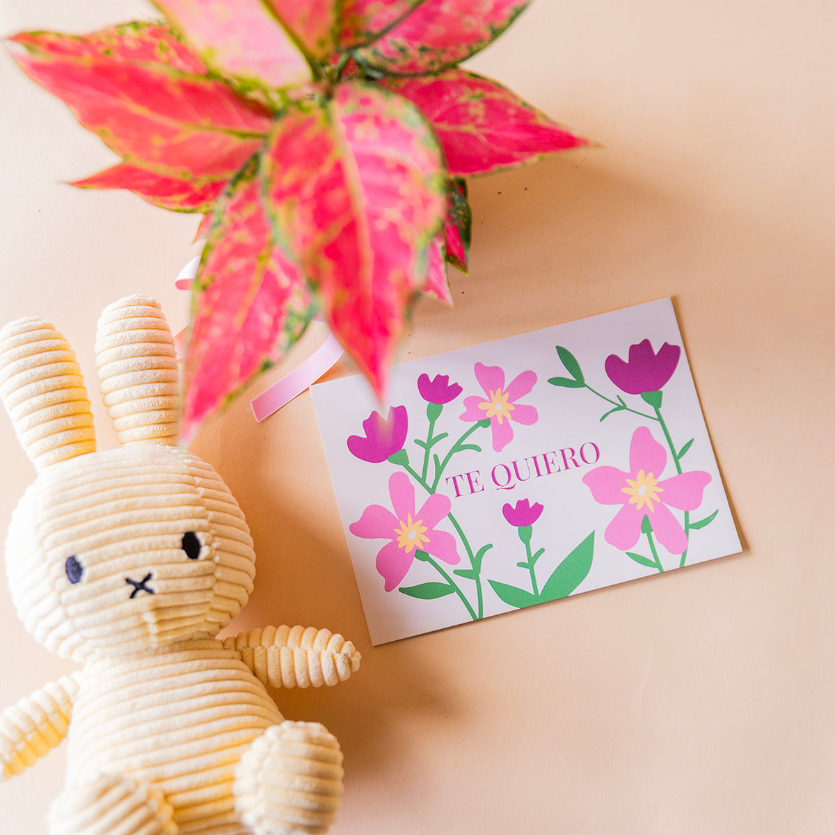 algaonema cherry junto peluche miffy amarillo y tarjeta dedicatoria te quiero todo ello sobre fono color crema
