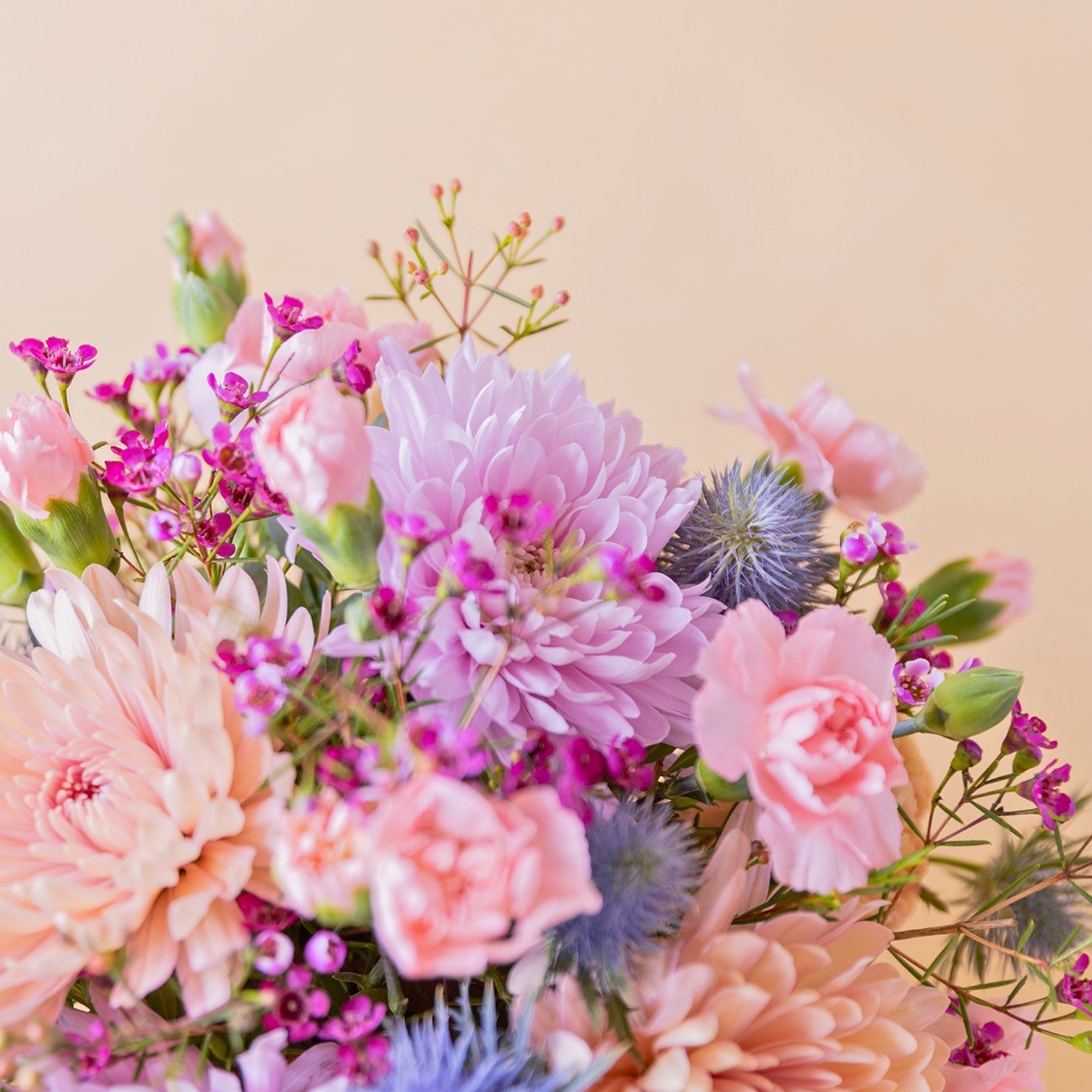 foto detalle crisantemos y flores silvestres