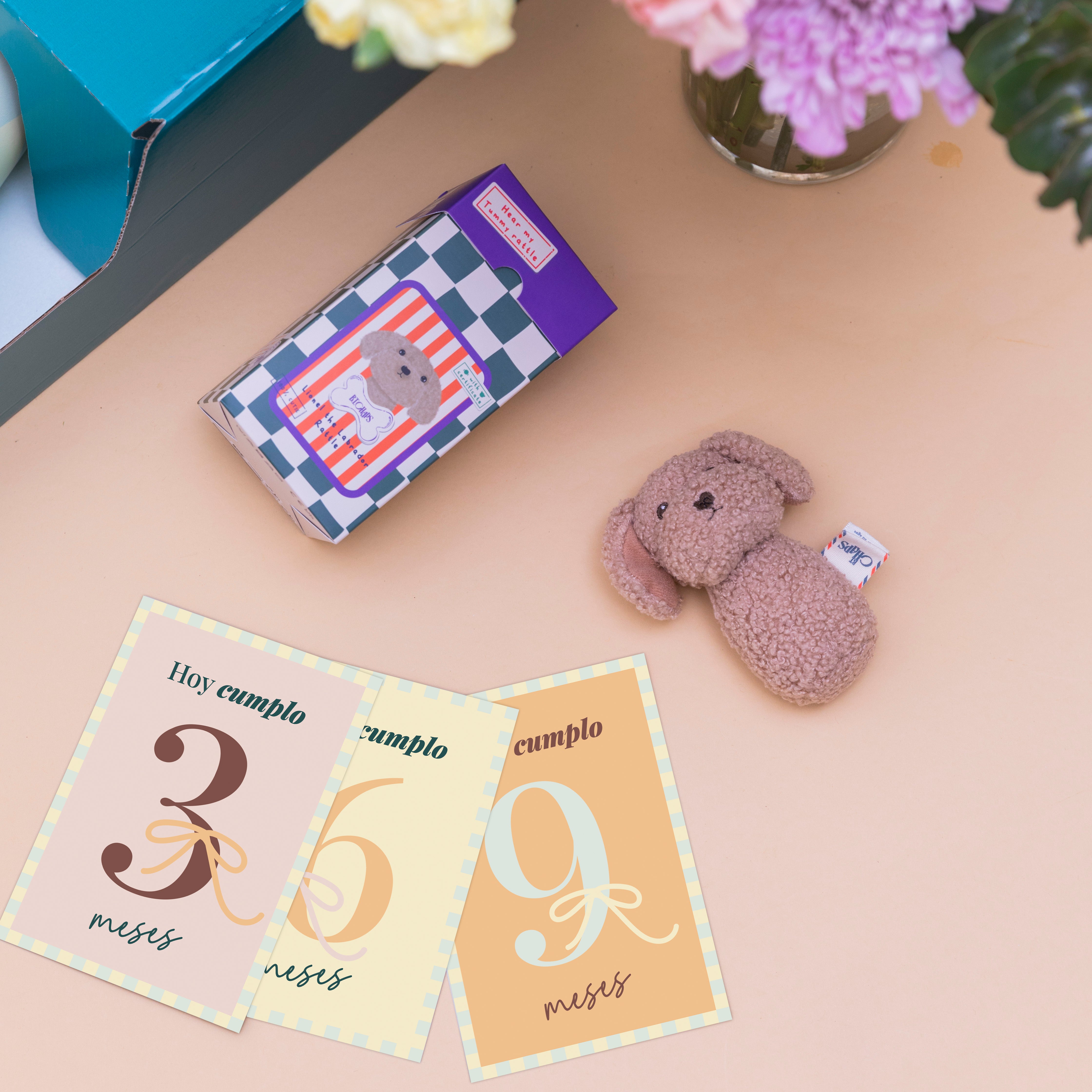 ¡Hola, Peque! - Ramo de flores con regalos para bebé