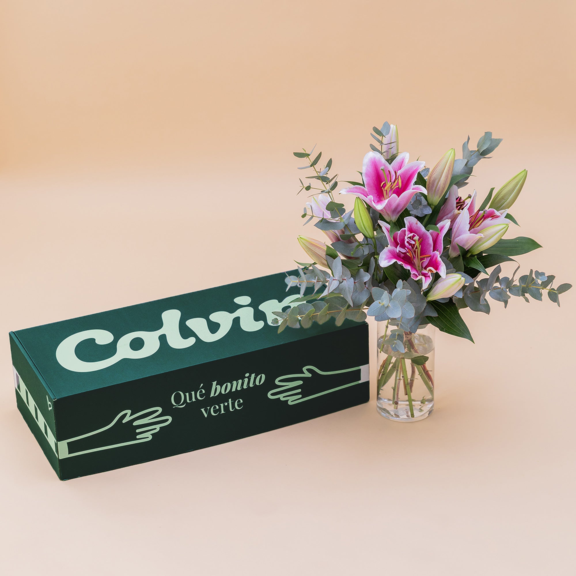 Los Lirios Rosas - Selección de lirios orientales