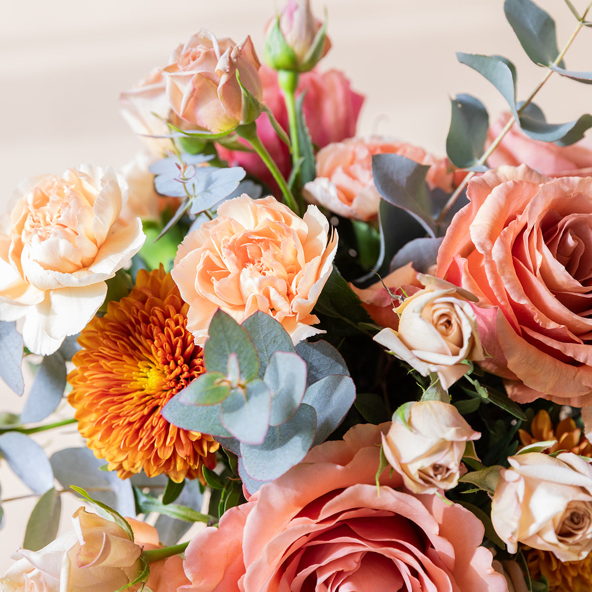 Arreglo de Rosas café con Peluche y Tarjeta