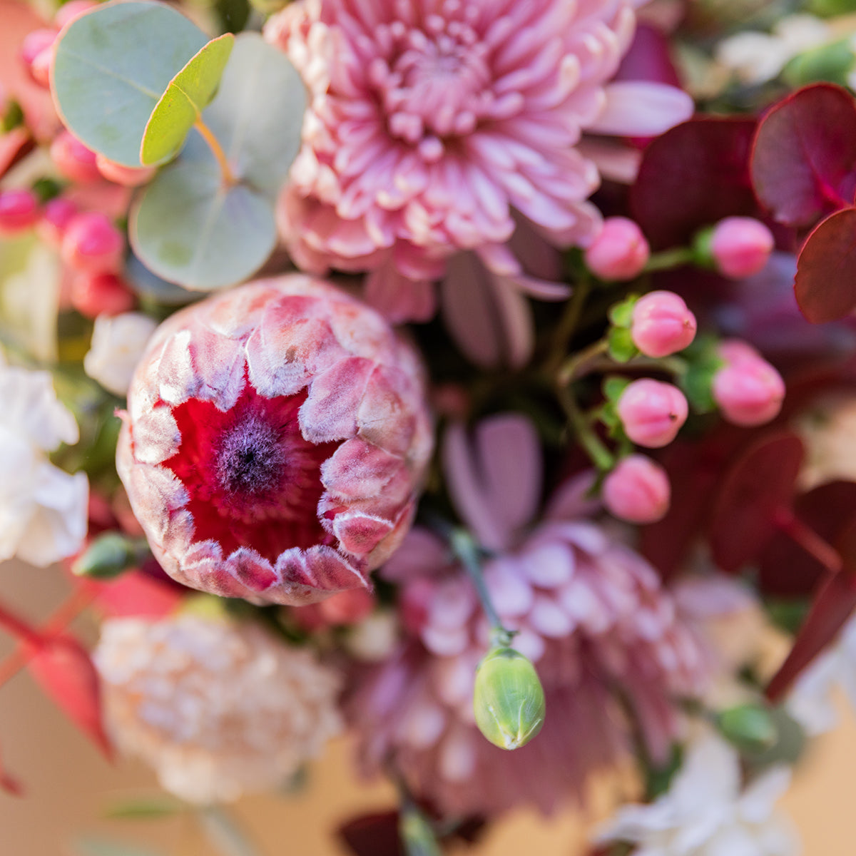 El Prota - Arreglo con protea