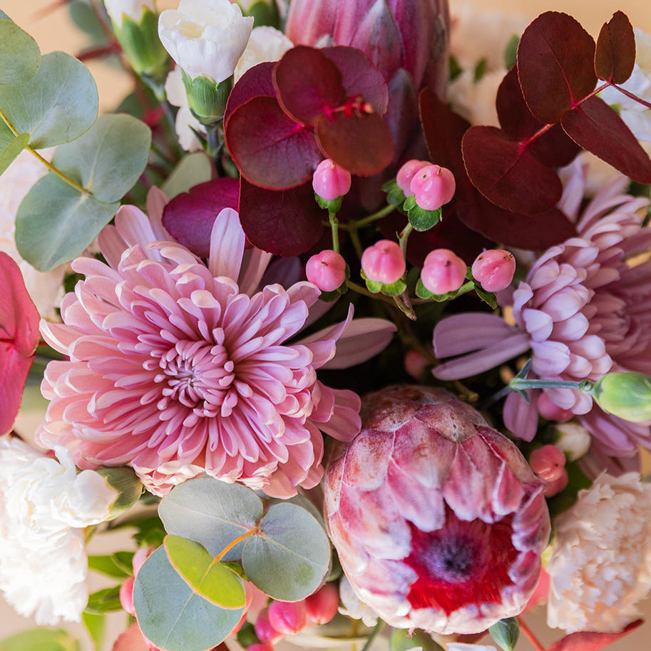 El Prota - Arreglo con protea