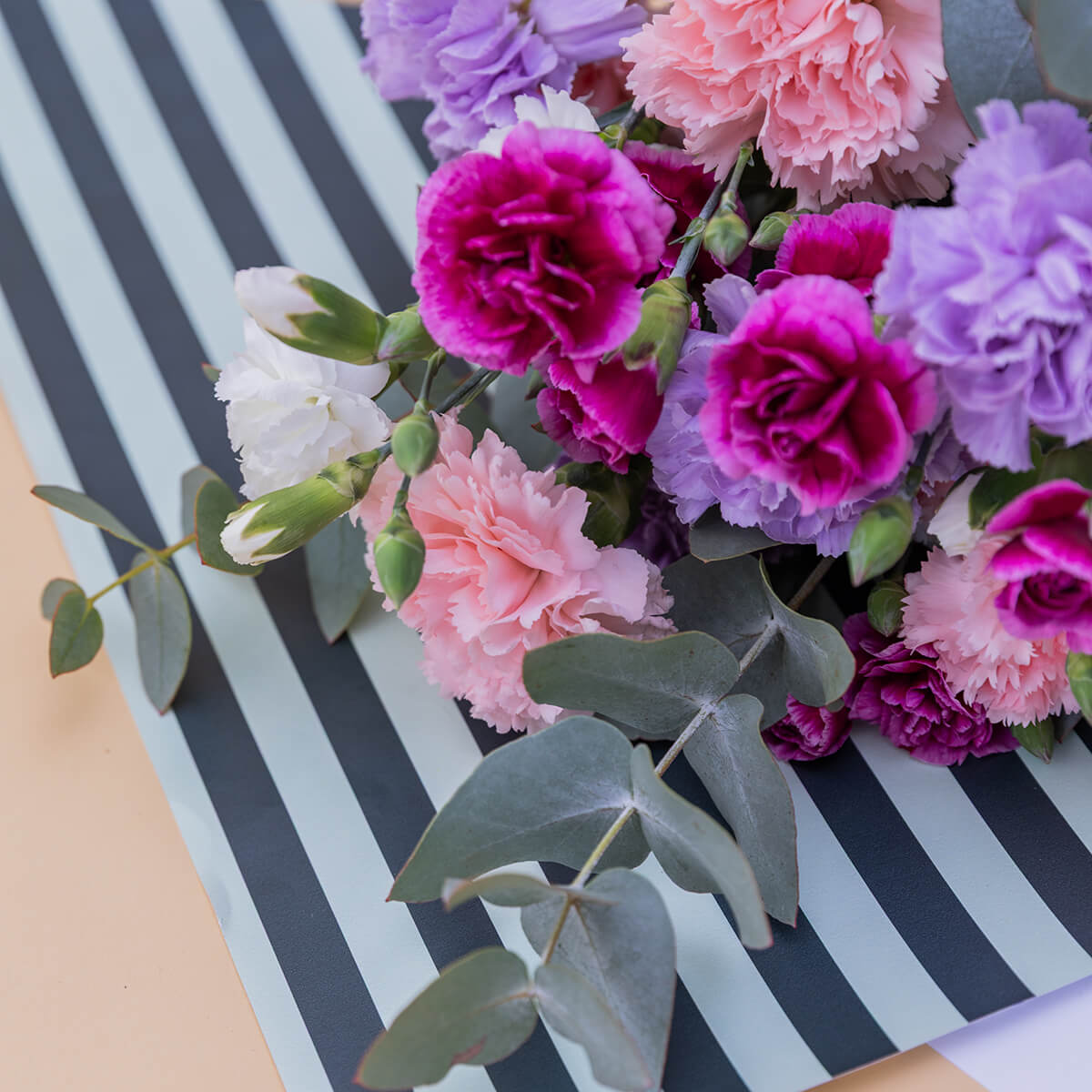 Los Claveles Rosas - Selección de claveles