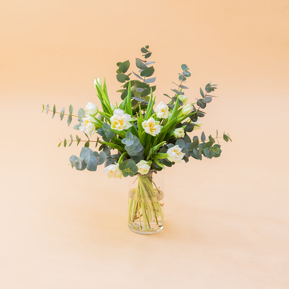 Los Tulipanes Blancos - Selección de tulipanes