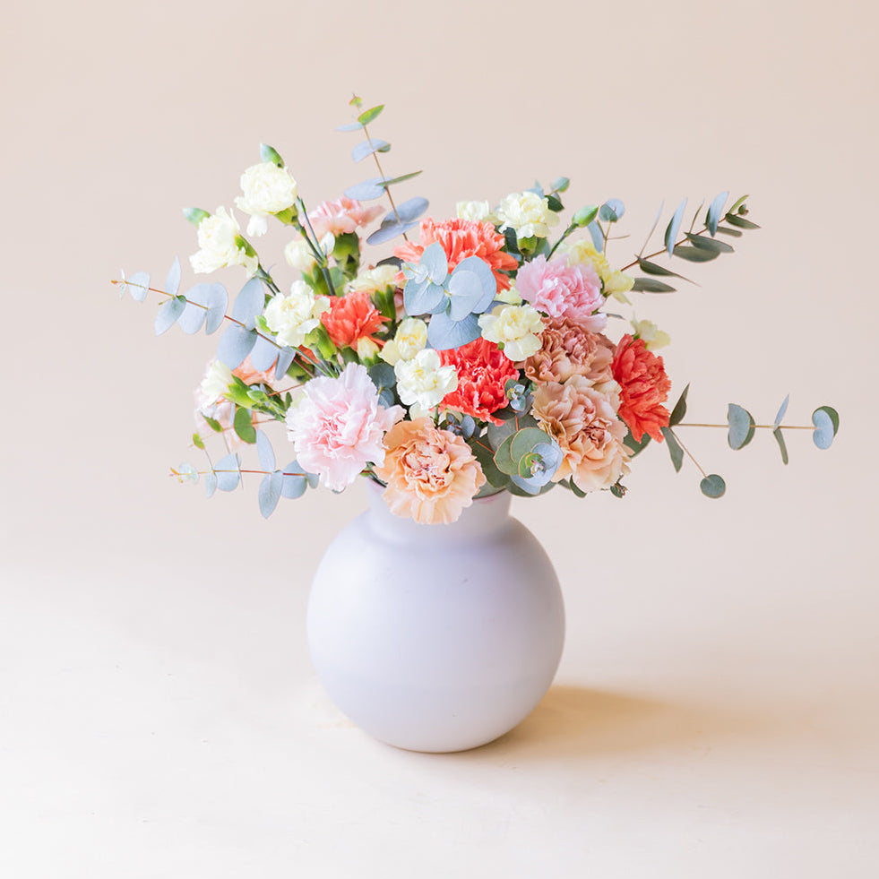 Jarrón con Claveles Rosas - Selección de claveles