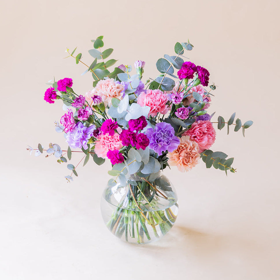 Los Claveles Rosas - Selección de claveles