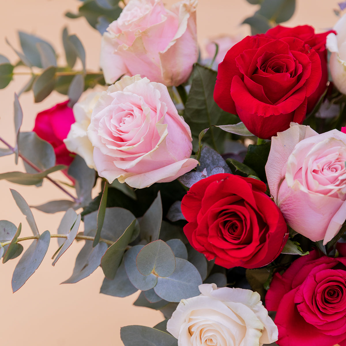 Las 20 Rosas - Rosas de colores