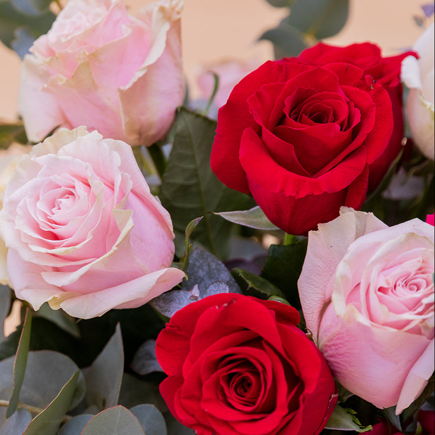 Las Rosas XL - Rosas de colores