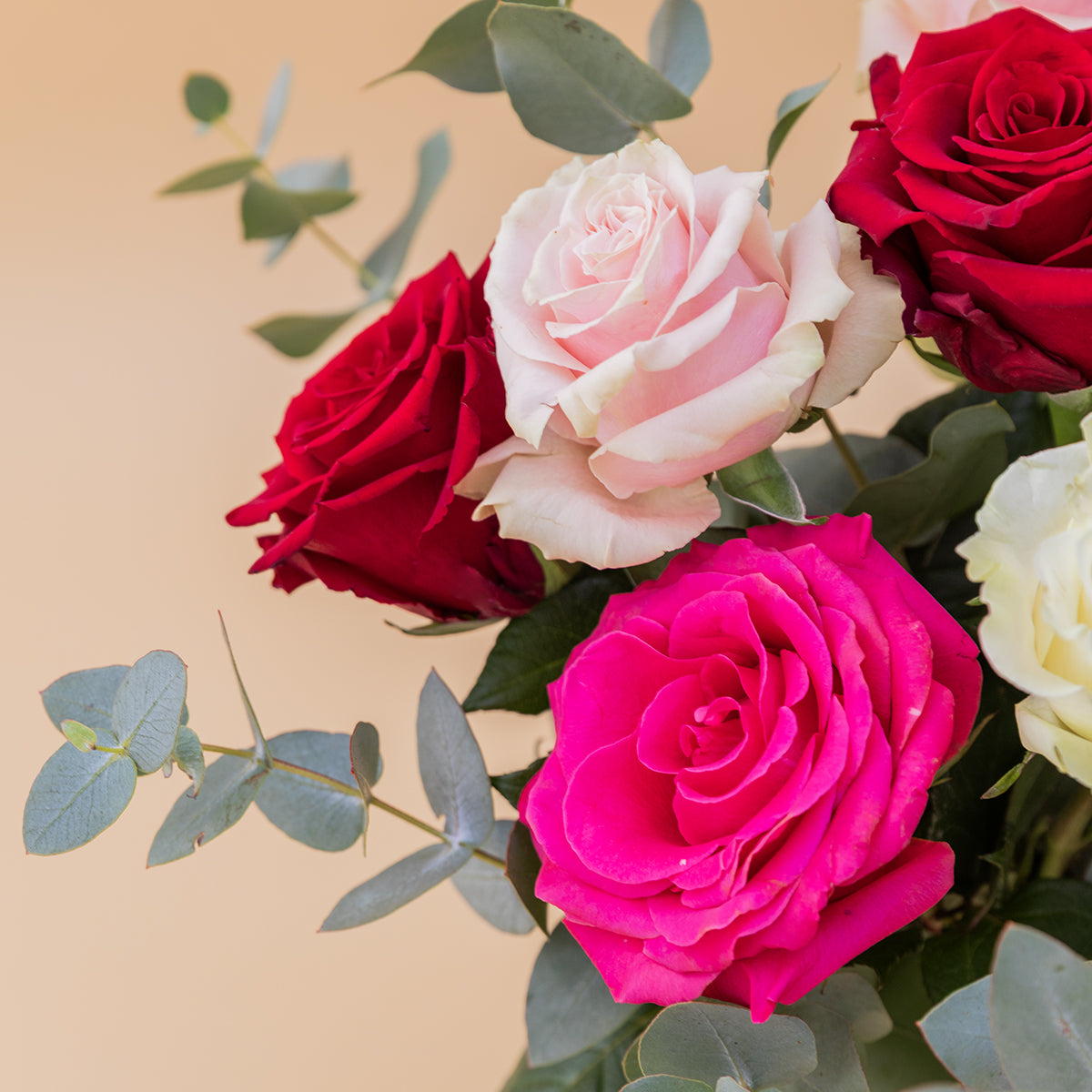 Las Rosas - Selección de rosas de colores