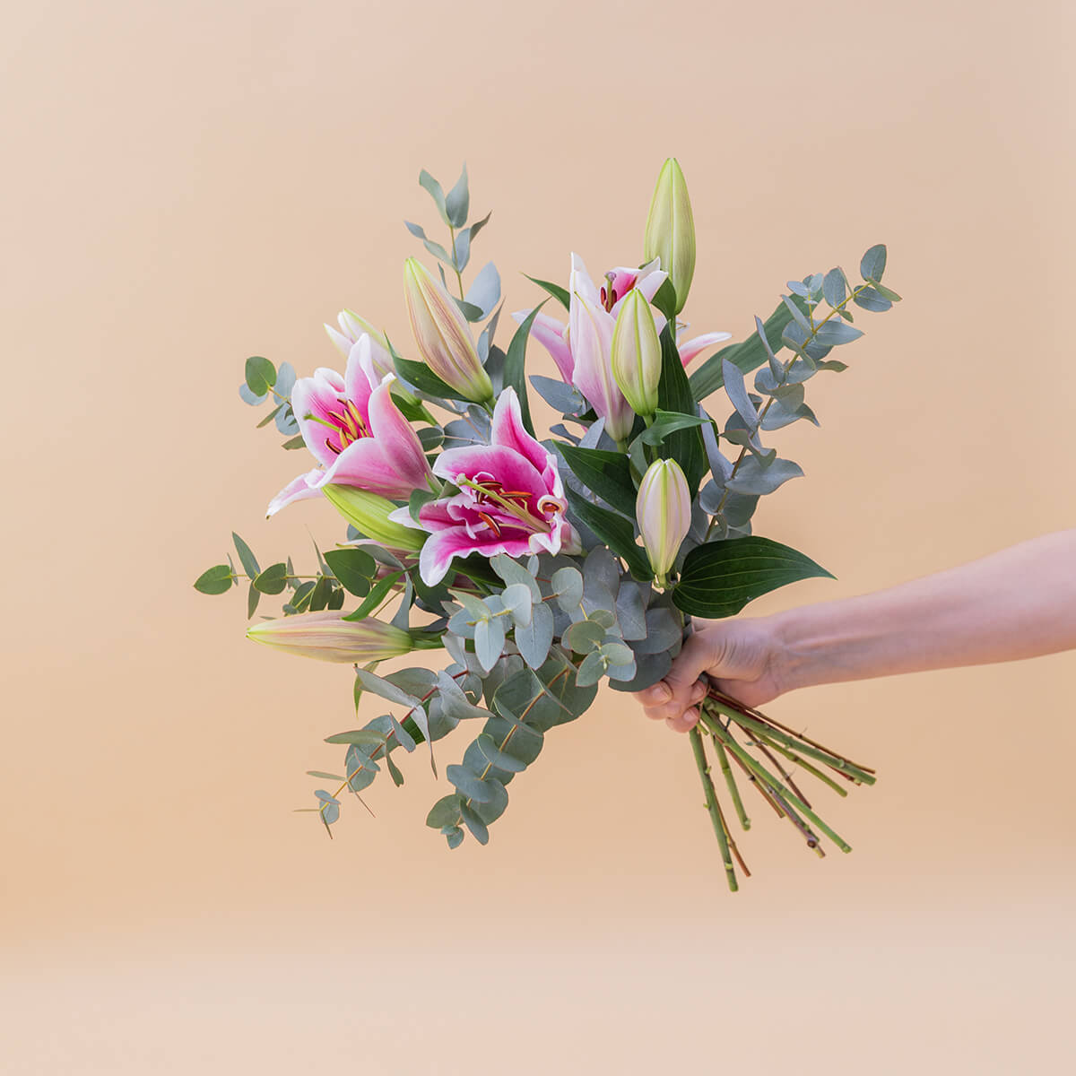 Los Lirios Rosas - Selección de lirios orientales