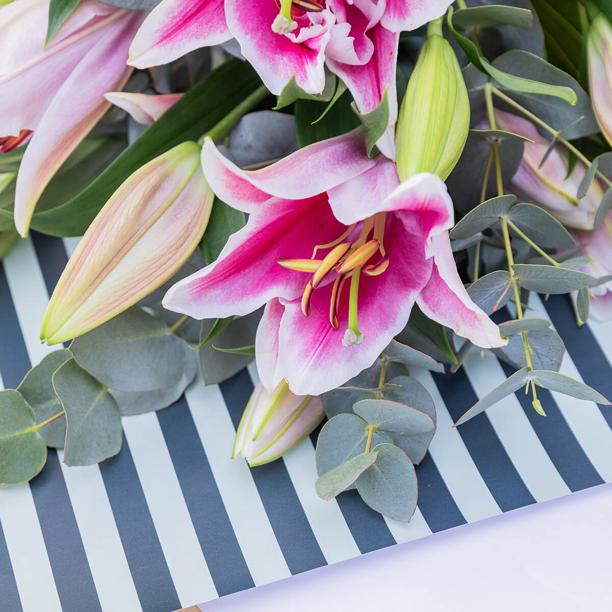 Los Lirios Rosas - Selección de lirios orientales