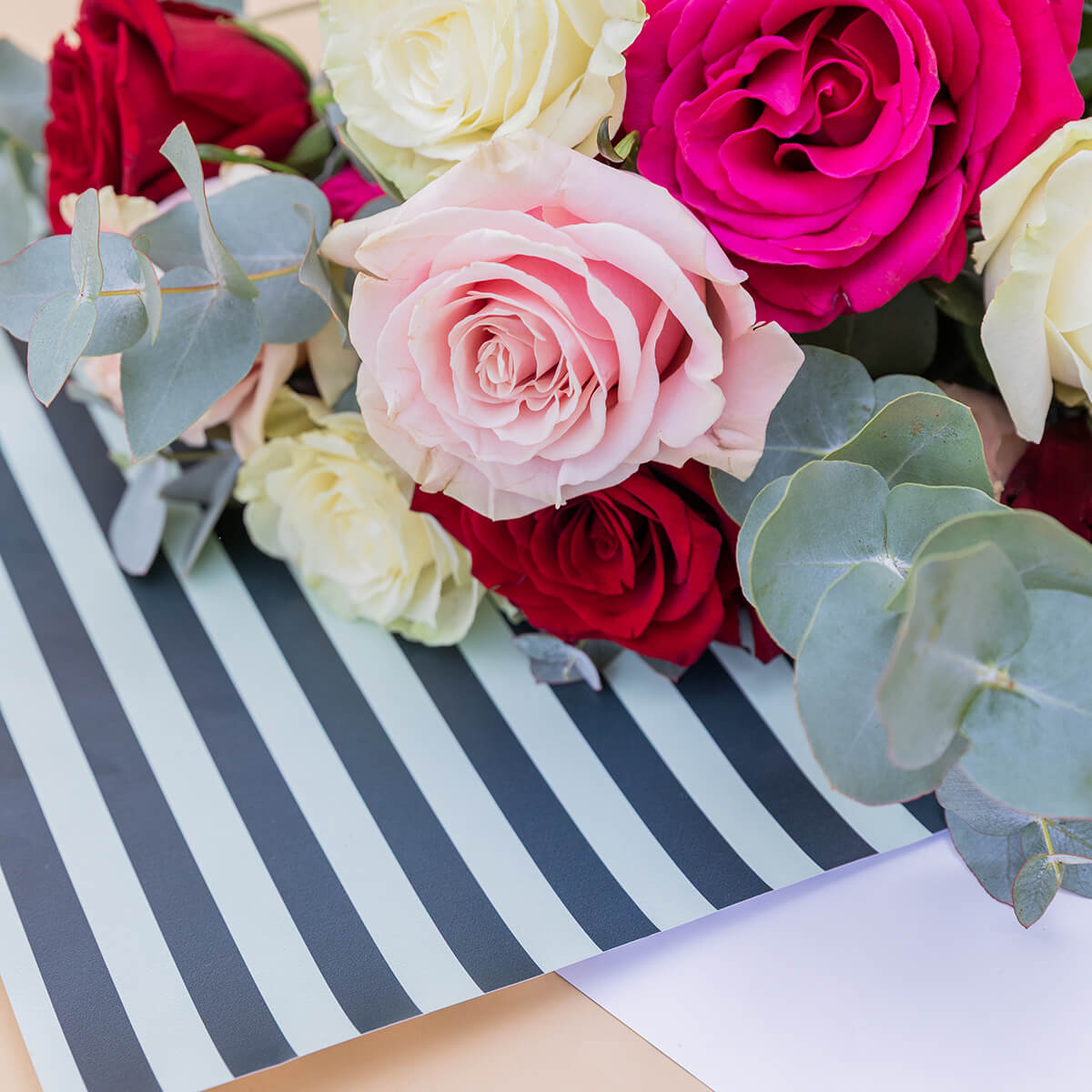 Las Rosas - Selección de rosas de colores