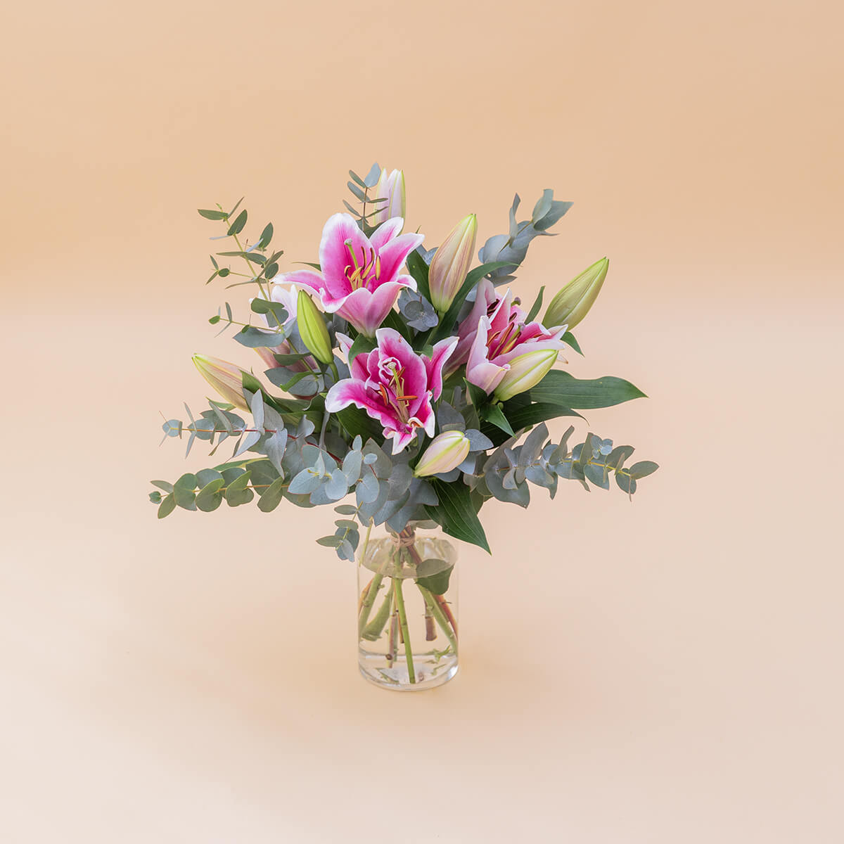 Los Lirios Rosas - Selección de lirios orientales